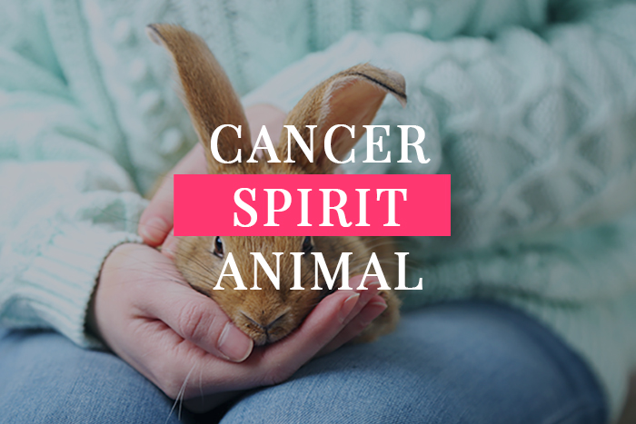 Cancer Spirit Animal