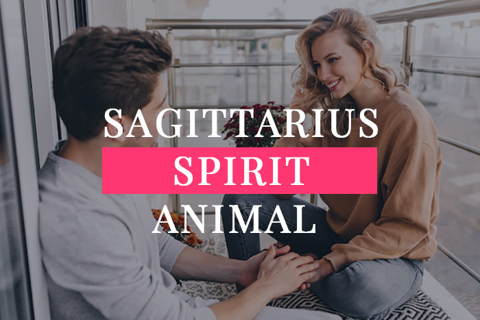 Sagittarius Spirit Animal | My Zodiac Lover