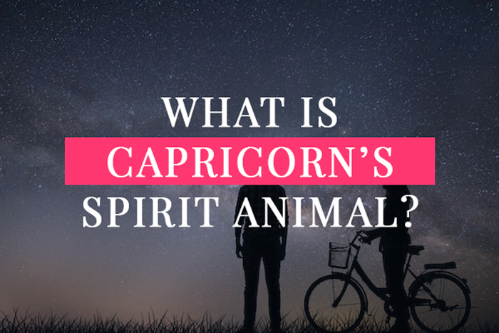 What Is Capricorn's Spirit Animal? | My Zodiac Lover